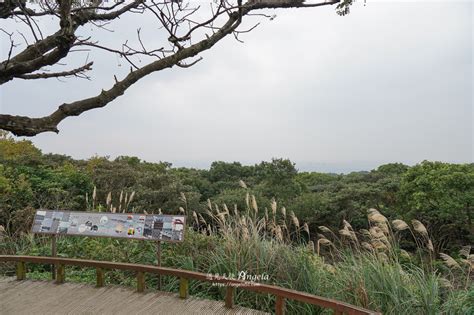 五酒桶山步道 桃園蘆竹親民級步道輕鬆走 假日來這踏青休閒又愉快 遇見天使~angela