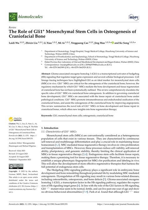 Pdf The Role Of Gli Mesenchymal Stem Cells In Osteogenesis Of