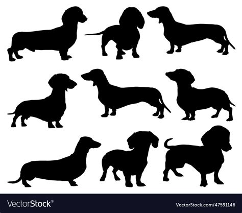 Dachshund silhouette Royalty Free Vector Image