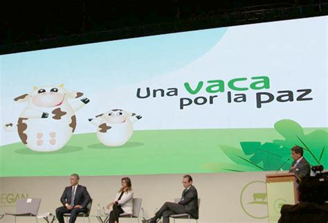 Vuelve “una Vaca Por La Paz Contexto Ganadero