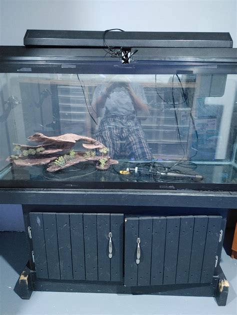 55 gallon aquarium complete setup | Fish for Rehoming | Windsor Region ...