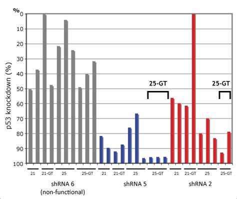 Principles Of RNAi And ShRNA Design Cellecta