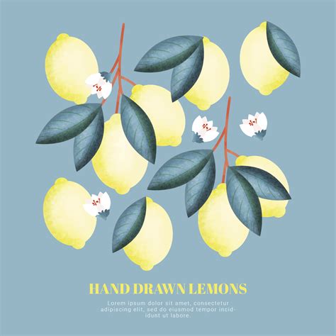 Lemon Border Free Vector Art - (8,910 Free Downloads)