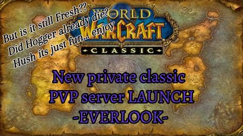 Everlook Private Wow Pvp Server Seems Stable And Good Even After The