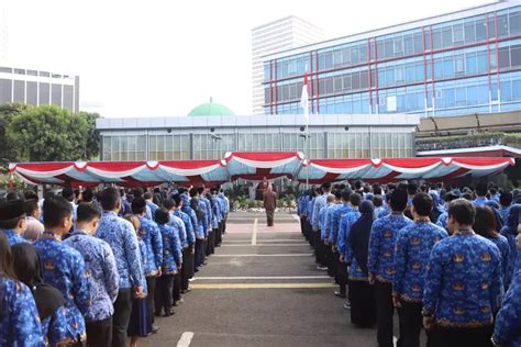 Menunggu Keadilan Lebih Dari 6 Juta Tenaga Honorer Tertahan Di Pintu