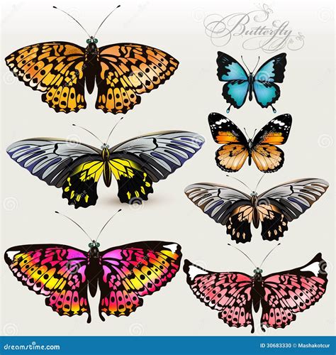 Sistema De Las Mariposas Realistas Coloridas Del Vector Para El Diseño