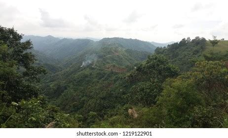 30 Balamban Images, Stock Photos & Vectors | Shutterstock