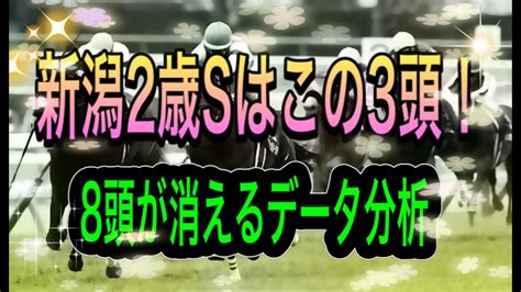 【新潟2歳s 2020】この3頭！8頭が消える消去データ分析 Youtube