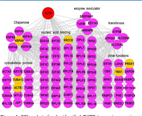 Figure From Characterization Of The Translationally Controlled Tumor