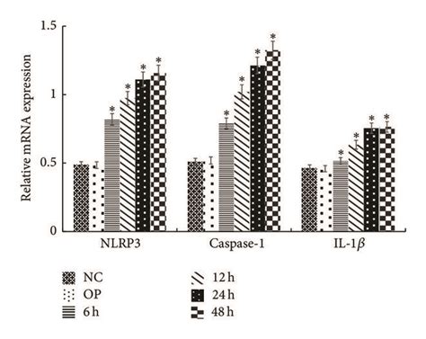 The Mrna Expression Of Nlrp Caspase And Il In Mesangial Cells