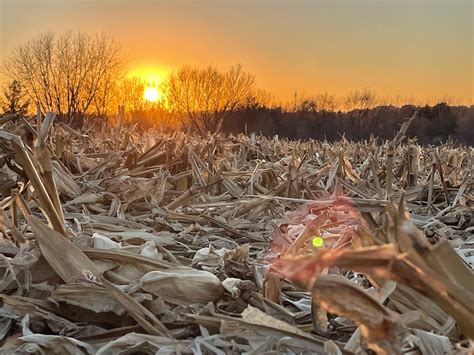 How to trace the genealogy of the derouchie last name 24