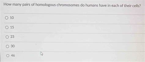 Solved How Many Pairs Of Homologous Chromosomes Do Humans Have In Each