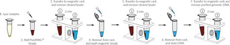 Comparing Nucleic Acid Purification Methods Phenol Chloroform Silica