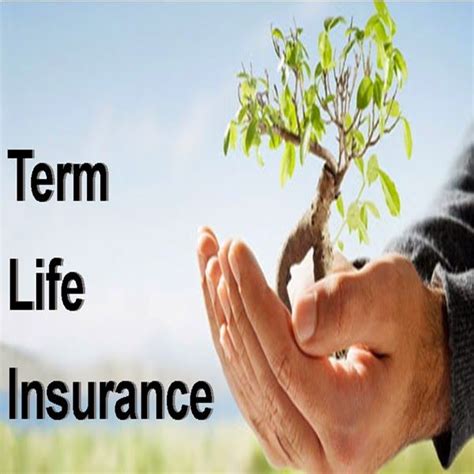 20 Free Term Life Insurance Quotes Instant Images Quotesbae