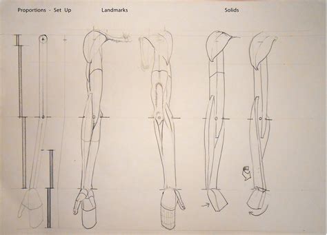 Drawing the Body: Upper Limbs