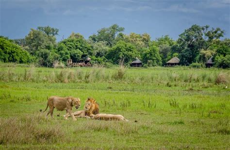 Botswana Culture And History | The Grown-Up Travel Company