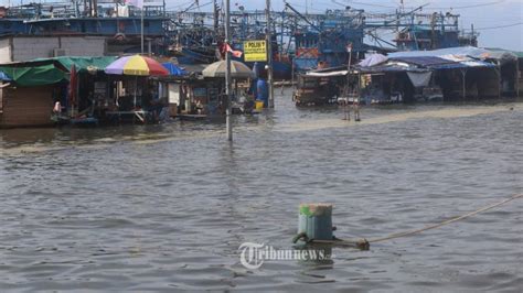 BMKG 29 Wilayah Pesisir Indonesia Potensi Banjir Rob Pada Juni 2023