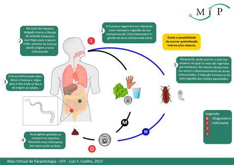 Atlas Virtual De Parasitologia