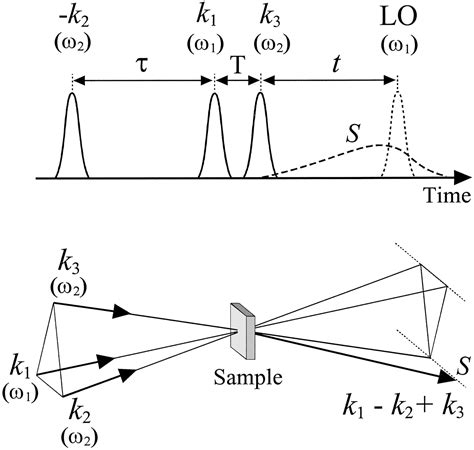 Dual Frequency 2d Ir Spectroscopy Heterodyned Photon Echo Of The