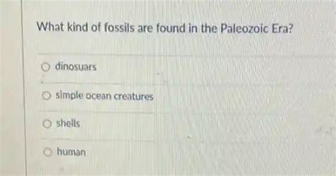 what kind of fossils are found in the paleozoic era? dinosuars simple ...