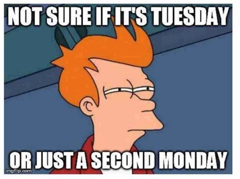 Tuesday Meme For Students How Weekly Humor Becomes Academic Pressure Relief And Cultural Commentary