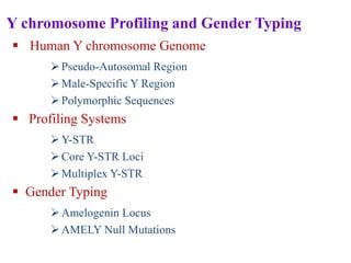 The Role Of Y Chromosome And Mitochondrial DNA In Forensic Science PPT