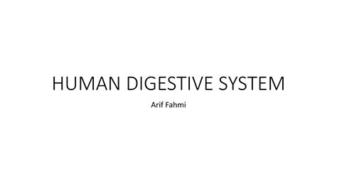 Human Digestive System Ppt