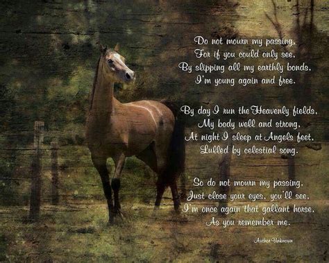 Horse Grief Horse Riding Quotes Horse Quotes Horse Poems