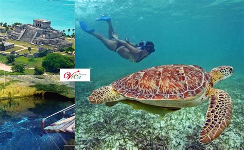 Tour Ruinas De Tulum Y Nado Con Tortugas En Akumal Desde Playa Del