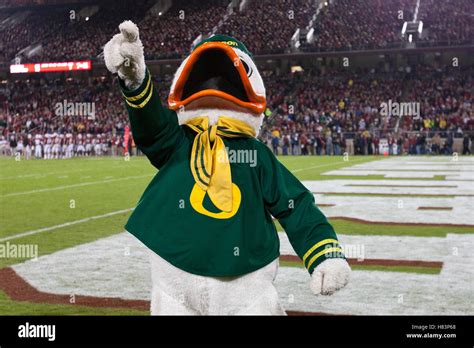 Oregon Ducks Mascot Push Ups