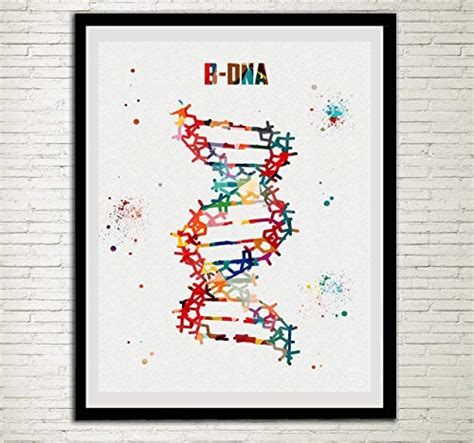 Amazon DNA Molecule Watercolor Art Poster Set B Dna Home Decor