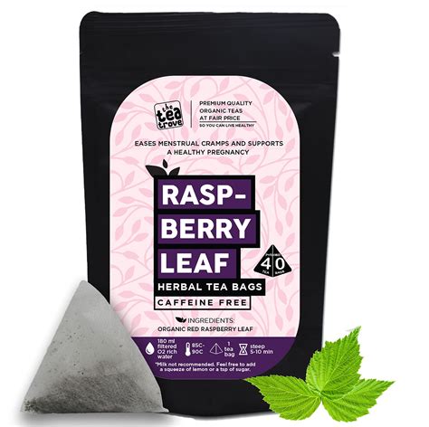 Buy Theteatrove Red Raspberry Leaf Tea Bags Pyramid Raspberry Leaf