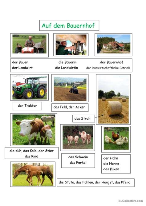 Auf Dem Bauernhof Bildw Rterb Cher O Deutsch Daf Arbeitsbl Tter Pdf Doc