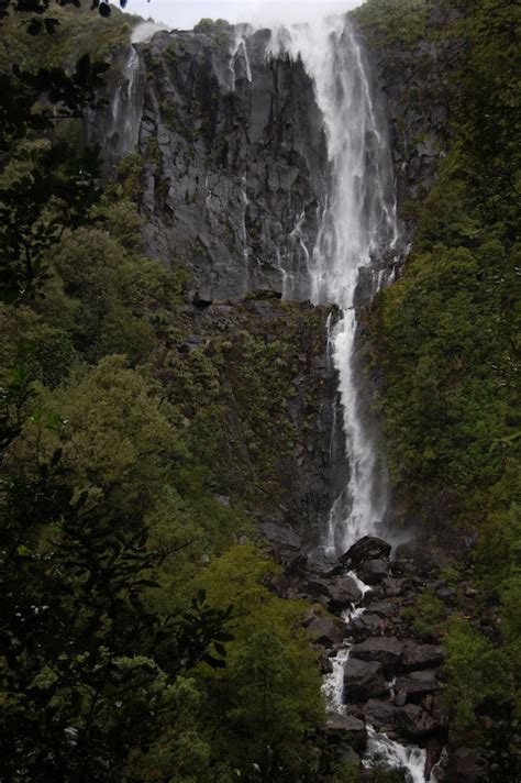 Wairere Falls, New Zealand | The Waterfall Record