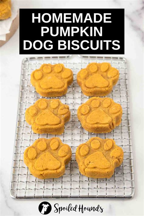 Easy Pumpkin Dog Biscuits Recipe - Spoiled Hounds