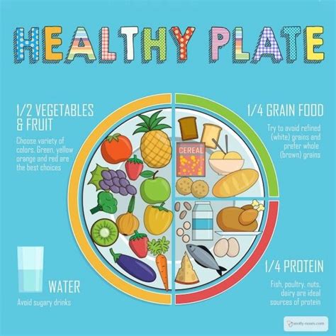 How To Create A Healthy Plate My Fitnessly