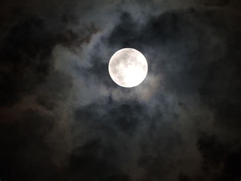 Moonlight Moon Spooky Cloudy - Free photo on Pixabay - Pixabay