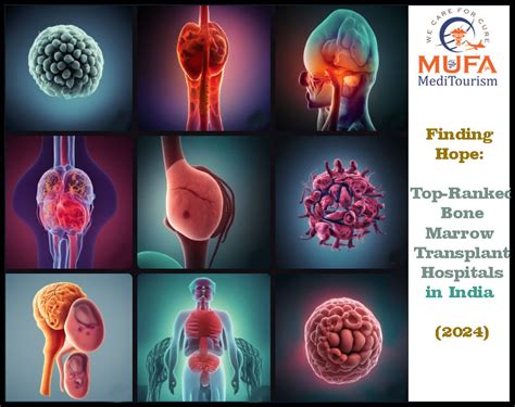 Finding Hope Top Ranked Bone Marrow Transplant Hospitals In India