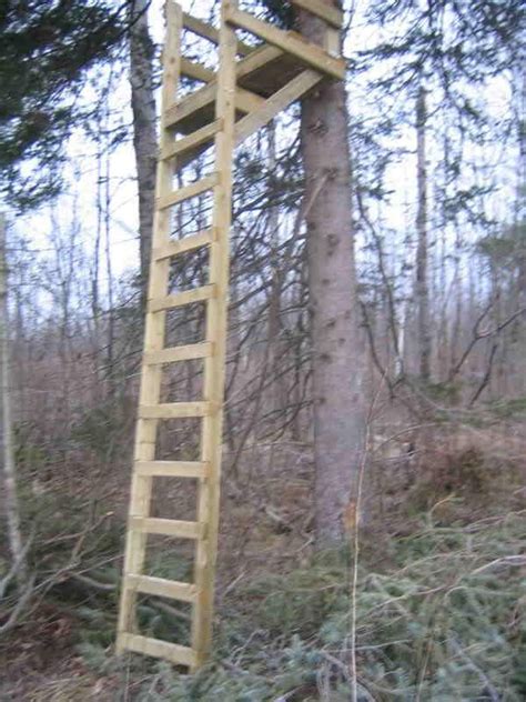 20 Free Diy Deer Stand Plans Perfect For Hunting Season Artofit