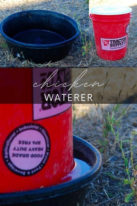 Diy Chicken Feeder And Diy Chicken Waterer Chicken Diy Chicken Waterer Chicken Feeder Diy