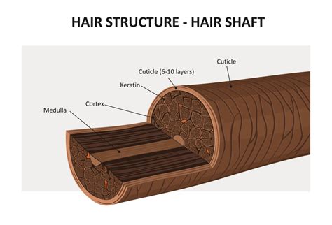 What Does Keratin Do To Your Hair? - RPR Hair Care