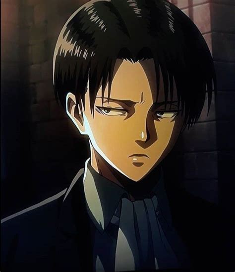 Attack On Titan Levi In 2021 Attack On Titan Levi Levi Ackerman