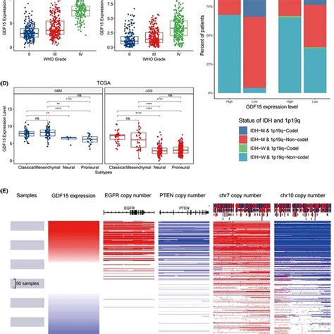 Expression And Clinical Relevance Of GDF15 In Glioma A B The