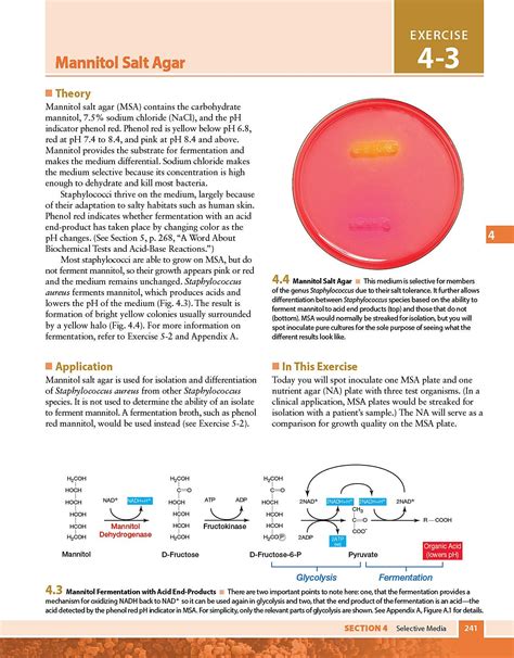 Microbiology Laboratory Theory Application Brief 3e 9781617314773