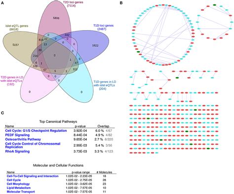 Frontiers A Dual Systems Genetics Approach Identifies Common Genes