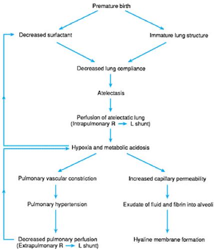 Acute Respiratory Distress Syndrome Pathophysiology