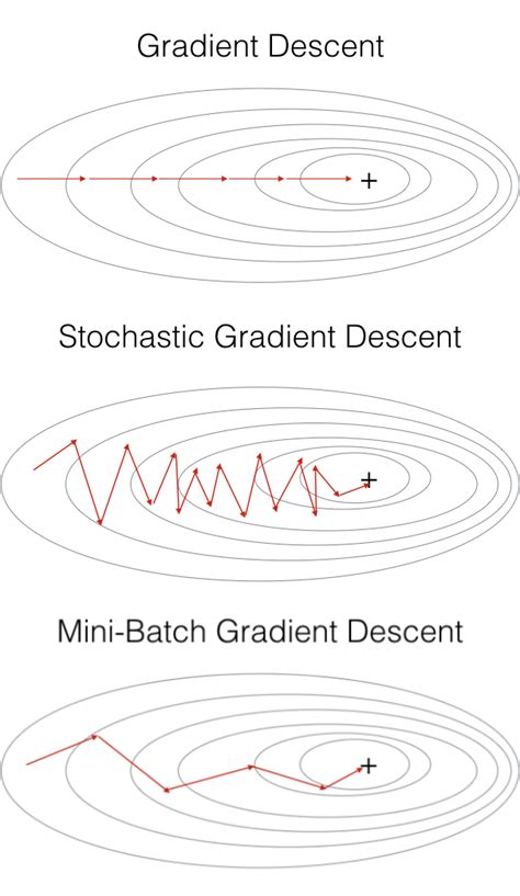 What Is “stochastic” In Stochastic Gradient Descent Sgd By Jasraj Singh May 2022 Medium