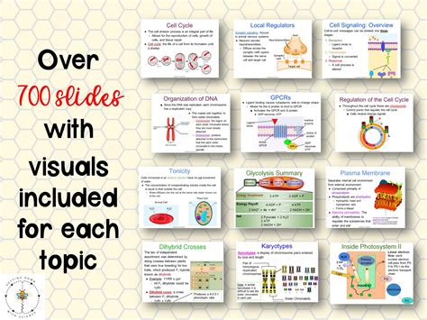 Ap Biology Powerpoint Presentations Full Year Bundle Getting Down