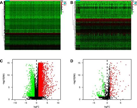 Differentially Expressed Irgs In The Gastric Cancer Cohort Heatmap Of