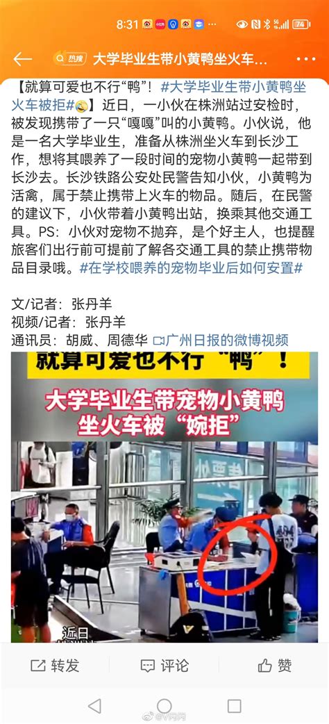 大学毕业生带小黄鸭坐火车被拒